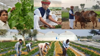 Jaipur Farmer Earns Yearly Income Of 40 Lakh Via Organic Farming