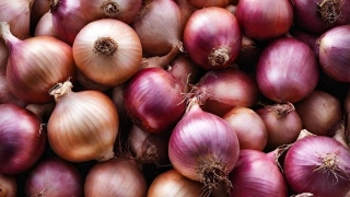 Government Lifts Onion Export Ban For 6 Neighbouring Countries