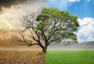 Saudi Arabia And UNEP Launch Campaigns To Combat Desertification And Restore Land Ahead Of World Environment Day 2024