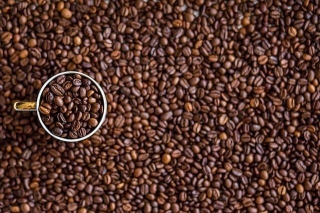 Uganda's Coffee Exports Experience Sharp Decline In March 2024