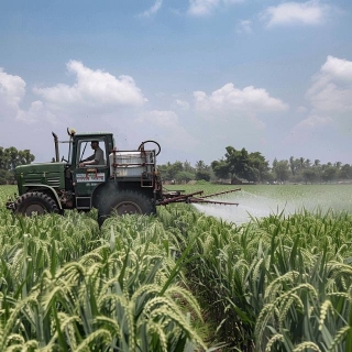 Government Approves Production Of Nano Urea Plus Fertiliser By IFFCO