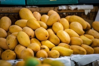 How To Identify If A Mango Is Naturally Or Chemically Ripened?