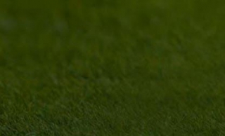 Arsenal Leading The Race For Feyenoord Striker Santiago Gimenez