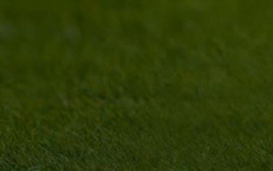 Manchester United lead chase for Bologna striker Joshua Zirkzee