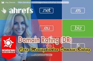 Mengenal Metrik Domain Rating Dan Cara Meningkatkannya