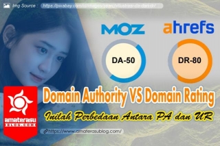 Perbedaan Antara Domain Authority (DA) Dan Domain Rating (DR)