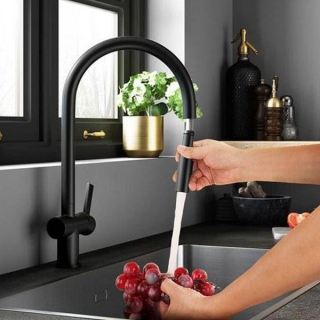 Modern Kitchen With Trendy Kitchen Sinks