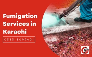 Fumigation Services In North Karachi
