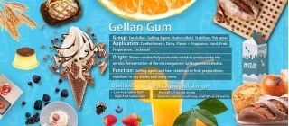 Unveiling The Wonders Of Gellan Gum In The Food And Beverage Industry