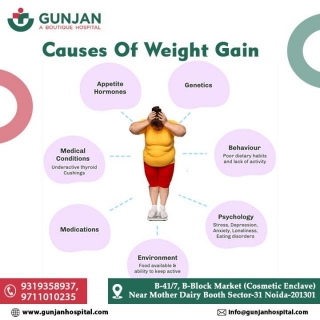 Understanding The Causes Of Weight Gain Can Lead To Better Solutions;