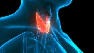 7 Scary Thyroid Symptoms You Need To Watch Out For