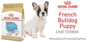 Royal Canin French Bulldog Puppy Chatterbox