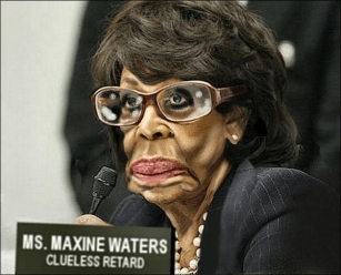 Mad Maxine Waters Floats Crazy New Conspiracy Theory