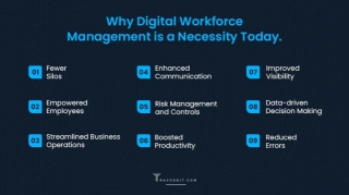 What Is Digital Workforce? Examine Its Evolution And Benefits