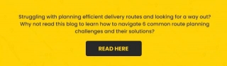 Shortest Routes Vs. Fast Routes: Delivery Dilemma