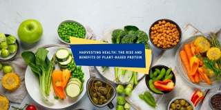 Harvesting Health: The Rise And Benefits Of Plant-Based Protein