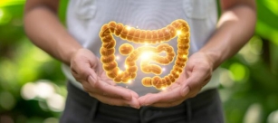 Boost Your Gut Health With IDwell Gut Gummies 