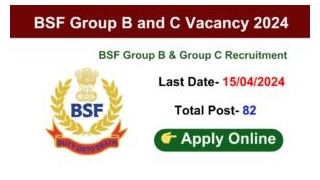 BSF Group B And C Various Post Online Form 2024