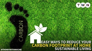 Easy Ways To Reduce Your Carbon Footprint At Home: Sustainable Living