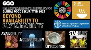 Understanding The Urgency Of Global Food Security In 2024: Beyond Availability To Sustainability