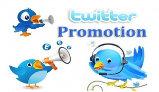 How A Twitter Promotion Company Can Boost Your Brand