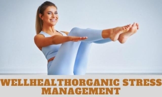 Well Health Organic Stress Management