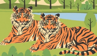 Wild Encounters: Ranthambore's Tiger Safari Guide And Insider Tips