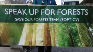 Environmental Activists Rally To Save Old Growth Forests From BCI Corporation