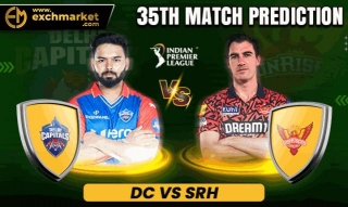 DC Vs SRH: 35th IPL Match Prediction
