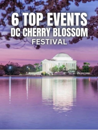 TOP 6 Events At DC National Cherry Blossom Festival