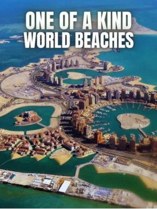 ONE OF A KIND World Beaches