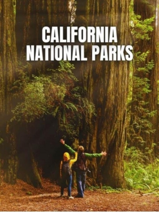 The National Parks Of California