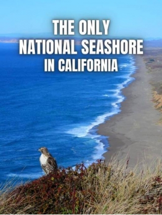 The ONLY National Seashore In California