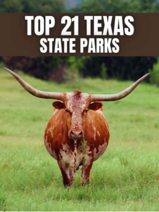 TOP 21 Texas State Parks