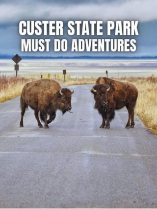 Custer State Park MUST DO Adventures