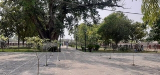 Top 8 Beautiful Parks In Peshawar
