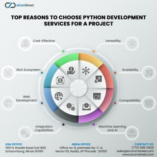 Why Choose Python Development Services For Your Next Project?