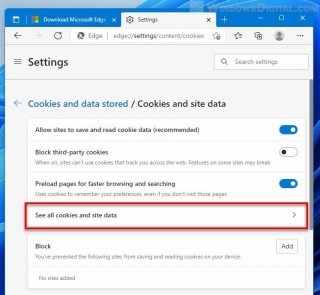 How Do I Enable Cookies On Windows 11