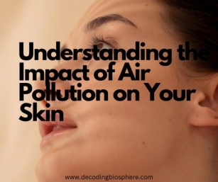 Understanding The Impact Of Air Pollution On Your Skin