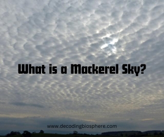 What Is A Mackerel Sky?