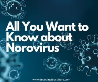 All You Want To Know About Norovirus