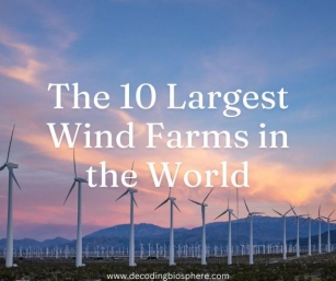 The 10 Largest Wind Farms In The World
