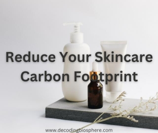 Reduce Your Skincare Carbon Footprint: Opt For Zero Waste Beauty Routine