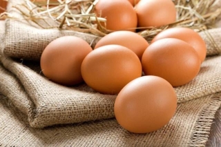 The Eco-Friendly Egg Debate And 2 Styles Compared: Free Range Vs. Pasture Raised