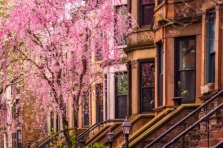 Spring In Brooklyn: Best Activities And Fun