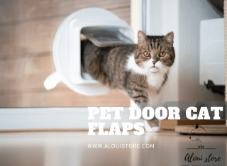 Unlocking Freedom: The Lowdown On Pet Door Cat Flaps