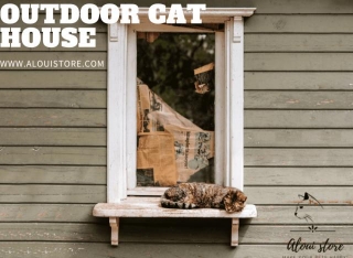 What Is The Best Outdoor Cat House?