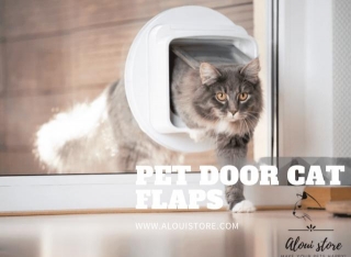 Unlocking Convenience: A Comprehensive Guide To Pet Door Cat Flaps