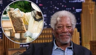Did You Know That Morgan Freeman Is A Beekeeper? The Reason Might Surprise You