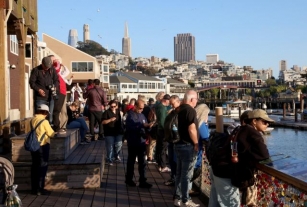 Photos: Sea Lions Swarm The Docks At San Francisco’s Pier 39